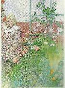 Carl Larsson stott- flicka vid spalier USA oil painting artist